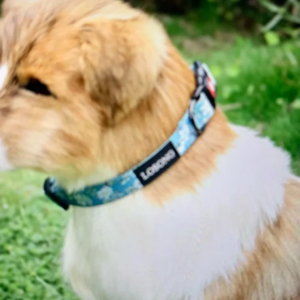 Losong Blue Floral Dog Collar